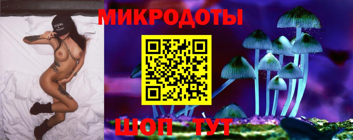 Галлюциногенные грибы Psilocybine cubensis  Вход с VPN  Псилоцибиновые грибы MAGIC MUSHROOMS  Великий Новгород 