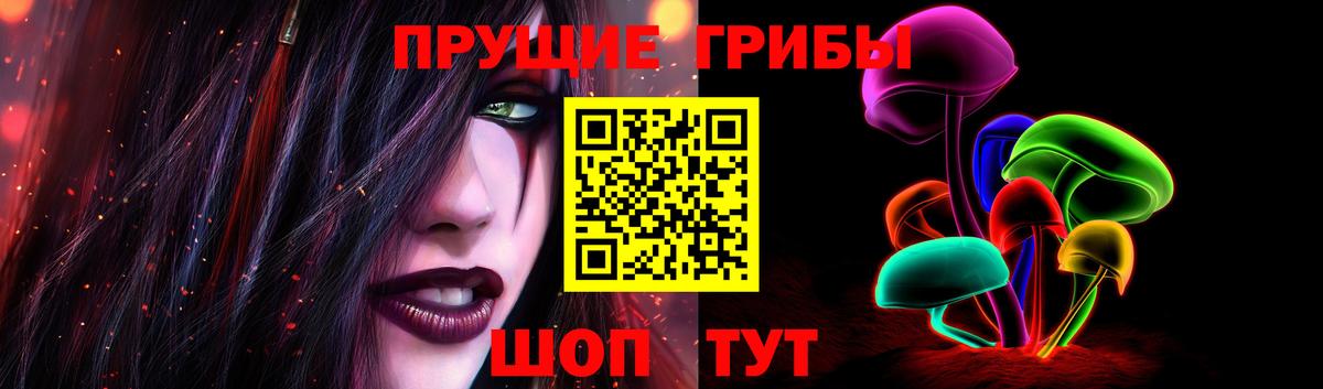 Псилоцибиновые грибы Psilocybe Великий Новгород